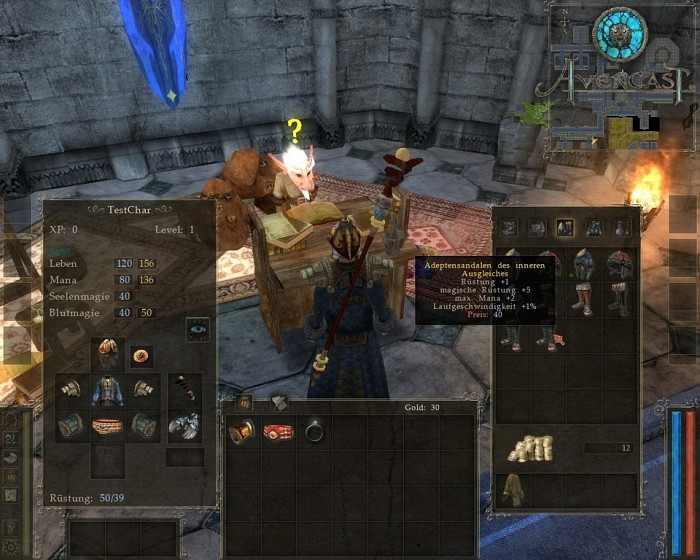 Скриншот из игры Avencast: Rise of the Mage