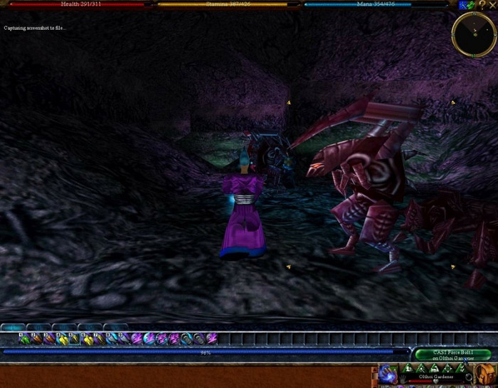 Скриншот из игры Asheron's Call: Dark Majesty