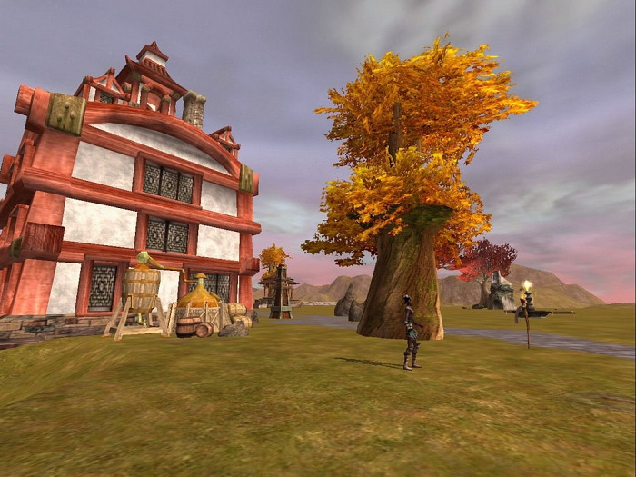 Скриншот из игры Asheron's Call 2: Legions