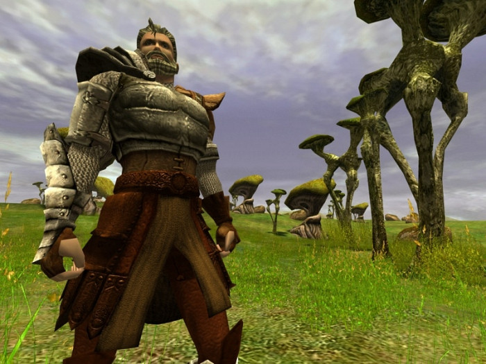 Скриншот из игры Asheron's Call 2: Fallen Kings