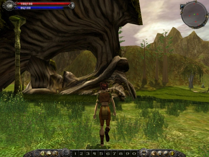 Скриншот из игры Asheron's Call 2: Fallen Kings