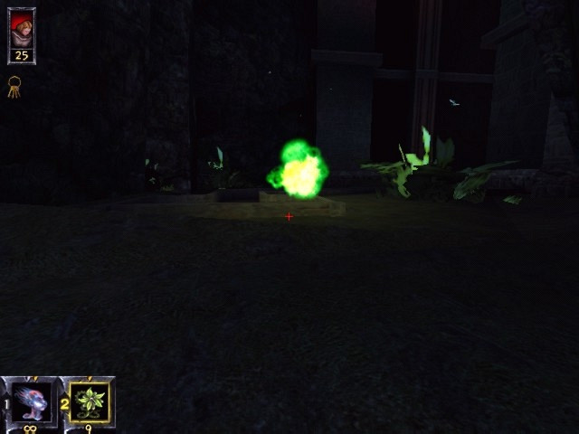 Скриншот из игры Wheel of Time