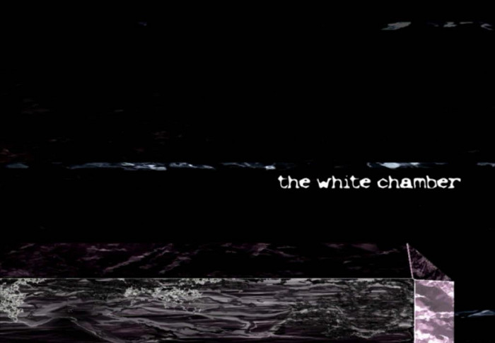 Скриншот из игры White Chamber, The