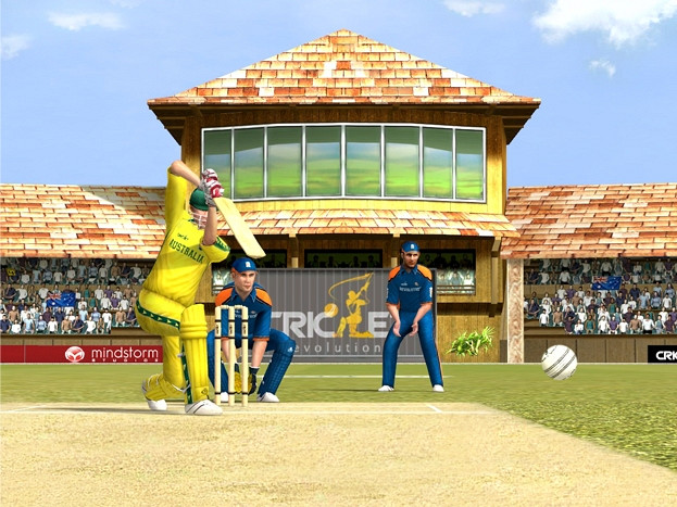 Скриншот из игры Cricket Revolution