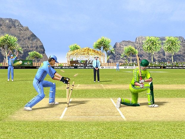 Скриншот из игры Cricket Revolution
