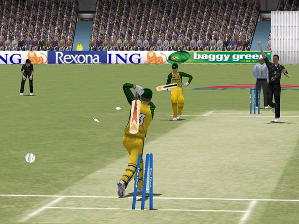 Скриншот из игры Cricket 2004