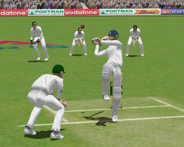 Скриншот из игры Cricket 2004