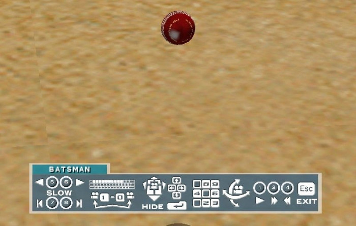 Скриншот из игры Cricket 2004