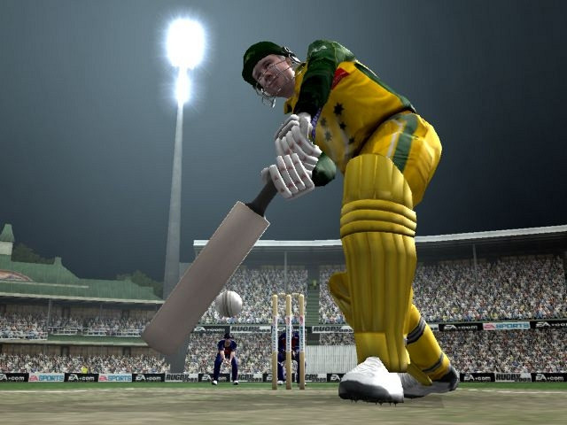 Скриншот из игры Cricket 2005