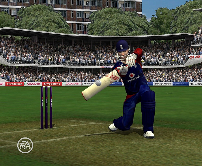 Скриншот из игры Cricket 07