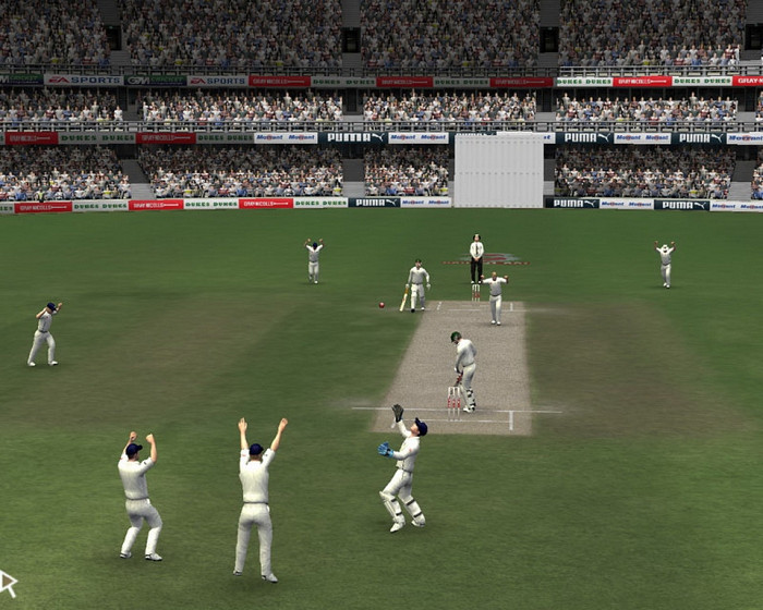 Скриншот из игры Cricket 07