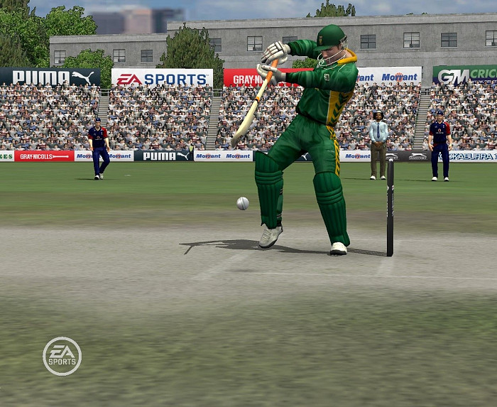 Скриншот из игры Cricket 07