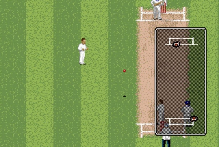 Скриншот из игры Brian Lara Cricket '99