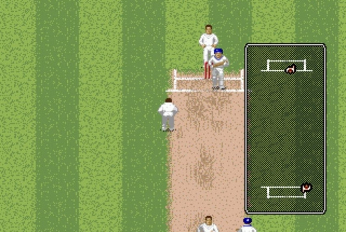 Скриншот из игры Brian Lara Cricket '99