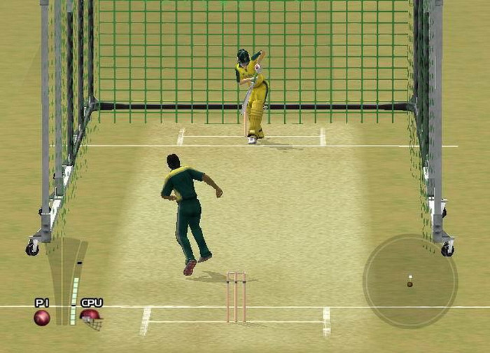 Скриншот из игры Brian Lara International Cricket 2005