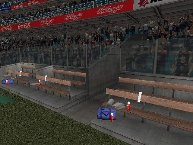 Скриншот из игры AFL Premiership 2005