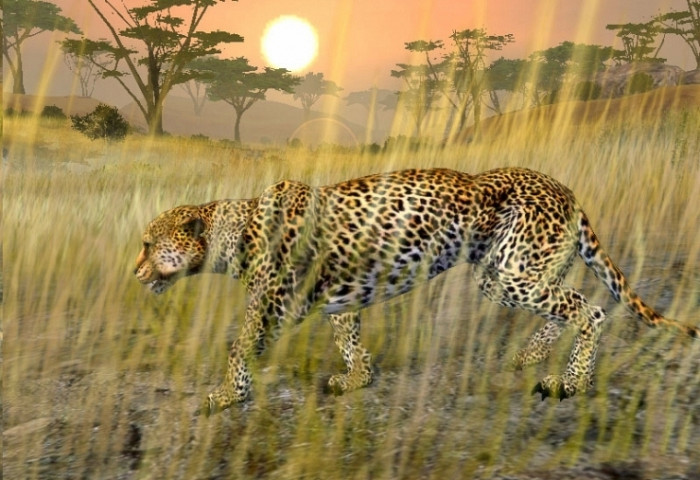 Скриншот из игры African Safari Casino