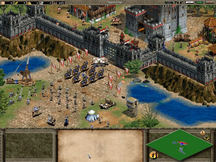 Скриншот из игры Age of Empires 2: The Age of Kings