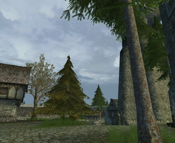 Скриншот из игры Age of Mourning