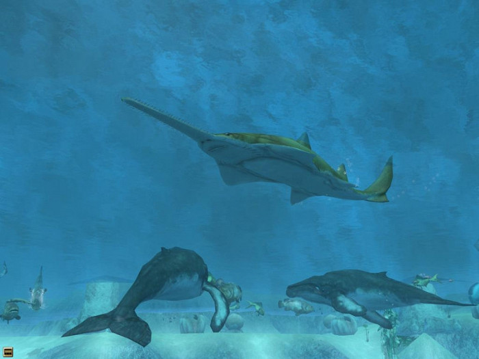 Скриншот из игры Wildlife Park 2: Marine World